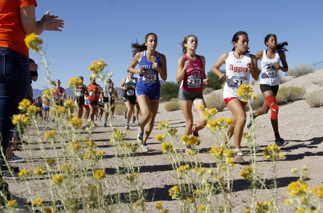 Runners compete during the Girls Cross Country Class 4A Sunset Region race in Boulder City, ...