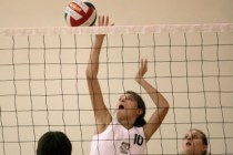 NP-HENDERSONVOLLEY 2