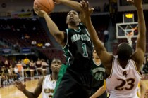 Palo Verde Eldorado 1 021609