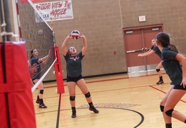 Alyson Jeeves sets the ball. She is one of 10 returning letter winners for Arbor View. (Chas ...