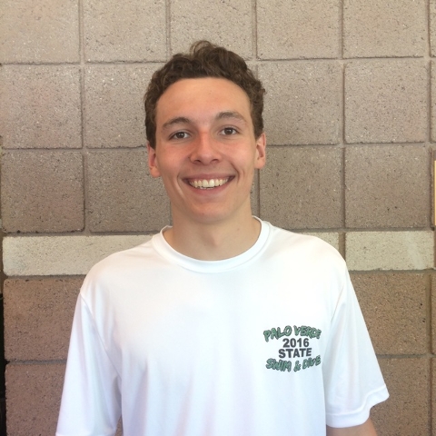 Dylan Sweikert, Palo Verde: The sophomore was the Division I state champion in the 100 frees ...