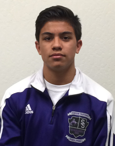Jacob Ruiz, Spanish Springs: The sophomore won the Division I Northern Region title and was ...