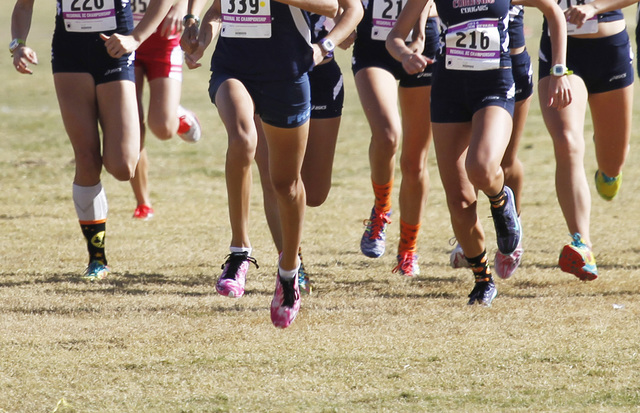 GIRLS CROSS COUNTRY: Basic’s Raquel Chavez overcomes wind, foes to earn Southeast League t ...