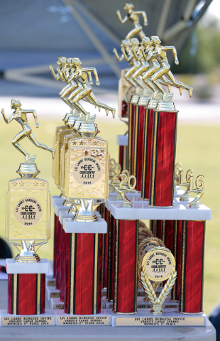 Varsity girls trophies are shown on a table prior to the finish of the 2016 Larry Burgess Cr ...