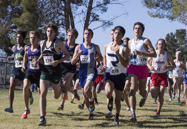 Participates of the boys 4A NIAA State Championship meet at Craig Ranch Park on Saturday, No ...