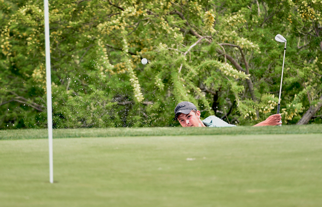 Palo Verde’s Cameron Meeks chips out of a bunker during the first round of Division I ...