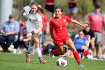 Arbor View’s Sierra Vicente (1) controls the ball against Palo Verde at the Bettye Wil ...