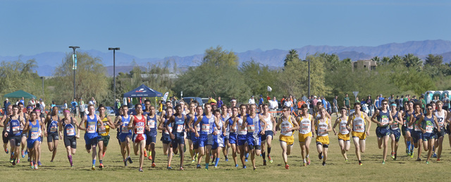 Runners begin the Division I boys state cross country meet at Sunset Park on Saturday. (Bill ...