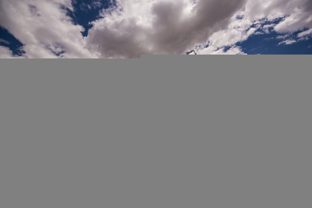 Caleb Witsken of Moapa Valley competes in the pole vault during the Nevada state track meet ...