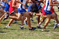 BOYS CROSS COUNTRY: Durango’s Frankie Bisacky has enough kick to win Southwest League titl ...