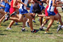 BOYS CROSS COUNTRY: Durango’s Frankie Bisacky has enough kick to win Southwest League titl ...