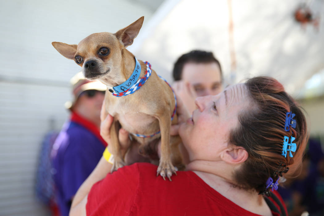 Karen Hughes of Las Vegas holds a dog she was interested in adopting during the national Clear ...