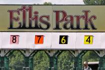 Ellis Park race track in Henderson, Ky., on Saturday, July 27, 2013. (AP Photo/Garry Jones)