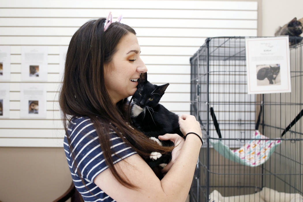 Cat cafe opens in Las Vegas Rescued Treasures Local Las Vegas Local