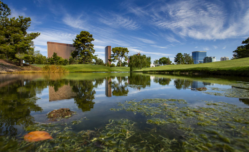 A water feature near the 14th hole is shown at Wynn Golf Club on Tuesday, July 30, 2019, in Las ...