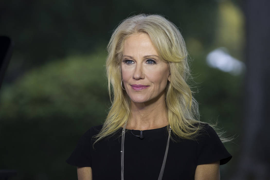 Counselor to the president Kellyanne Conway pauses while speaking during a television interview ...