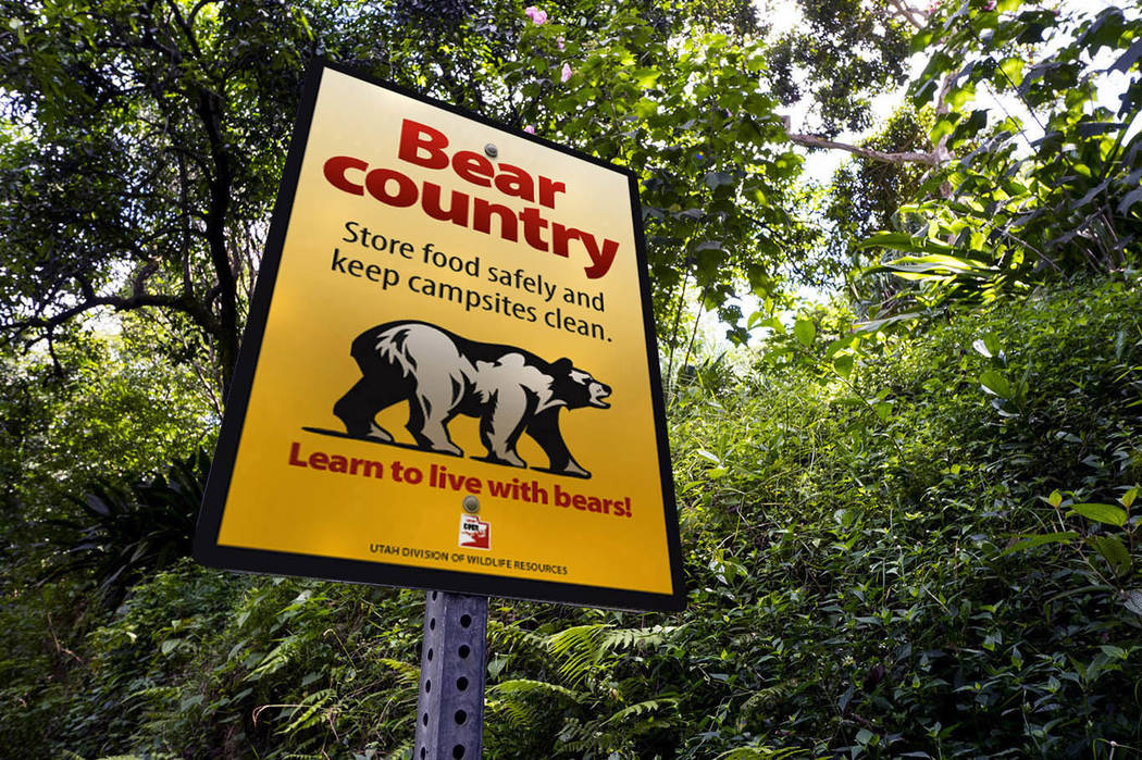 The Alpine row over 'problem bears