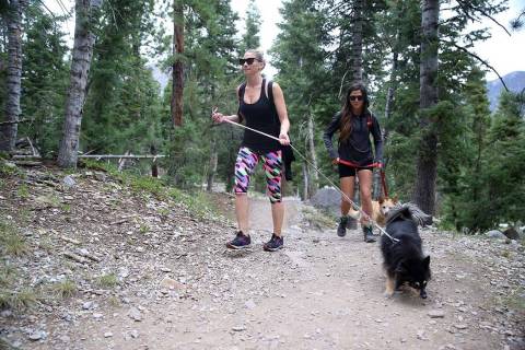 Las Vegas residents Laura Mitchell, left, and Mehka Klimer, with Klimer's dogs, Rucca and Opie, ...