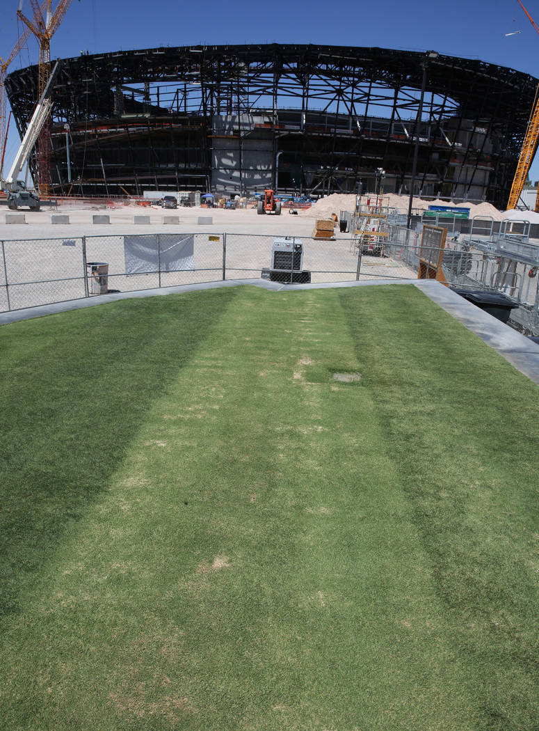 Several types of grasses are seen outside Allegiant Stadium on Friday, Aug. 16, 2019 as the sta ...