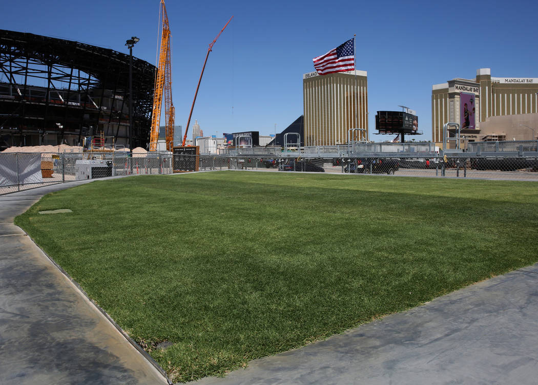 Several types of grasses are seen outside Allegiant Stadium on Friday, Aug. 16, 2019 as the sta ...