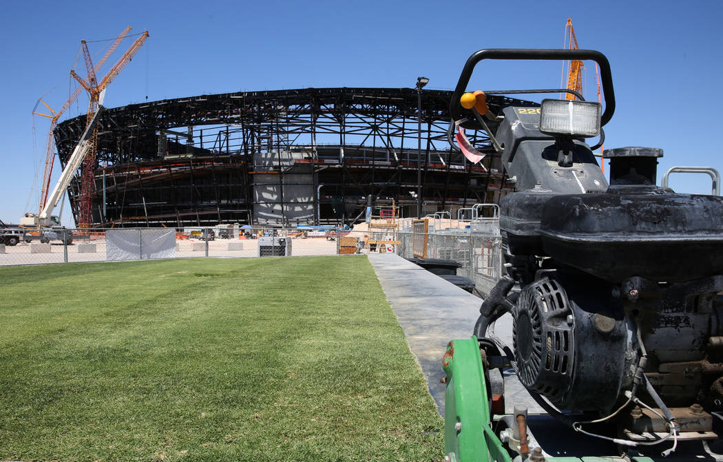 Several types of grasses are seen outside Allegiant Stadium on Friday, Aug. 16, 2019 as the sta ...