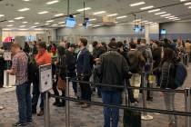 Passengers wait in the TSA screening line at McCarran International Airport in Las Vegas. (Mick ...