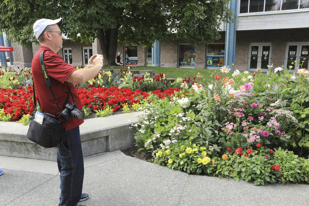 Central Florida resident Paul Leake photographs a dahlia garden in Town Square in Anchorage, Al ...