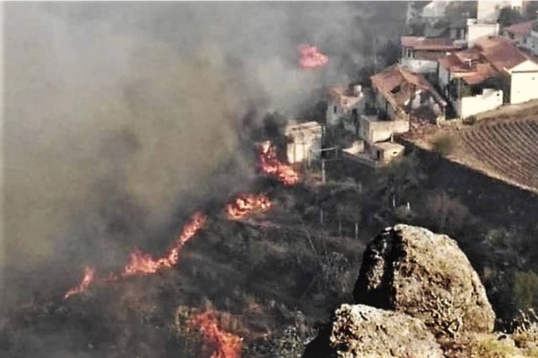 In this photo issued by Cabildo de Gran Canaria, flames from a forest fire burn close to houses ...