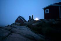 Dogs sit outside a home in Kulusuk, Greenland, early Thursday, Aug. 15, 2019. (AP Photo/Felipe ...