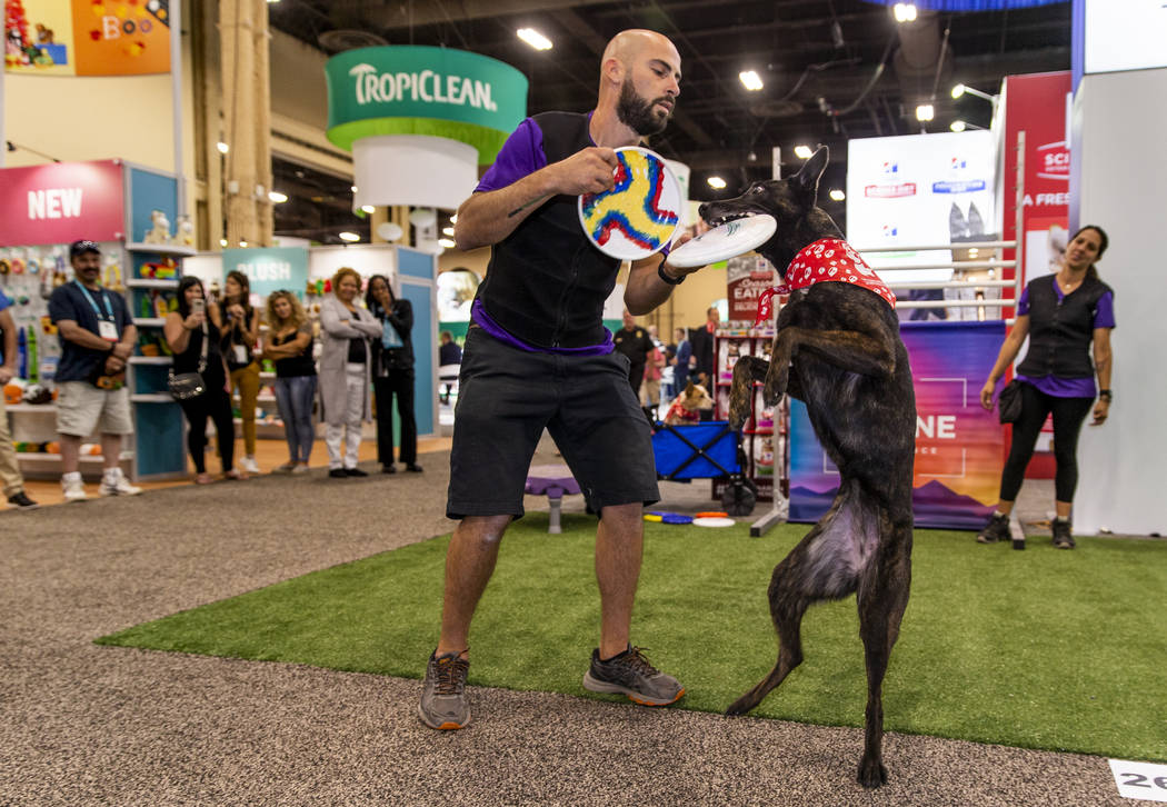 Christopher Padilla performs tricks with dog Poison Ivy during The Canine Experience display at ...