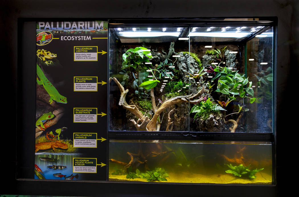 A Double Door Paludarium is one of the new items at the SuperZoo pet products show in the Manda ...