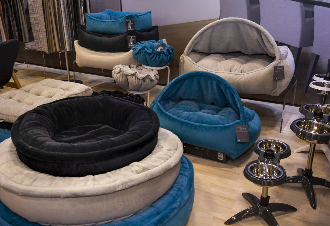 Bowsers, a Dog's World of Luxury, offers contemporary furniture as some of the new items at the ...