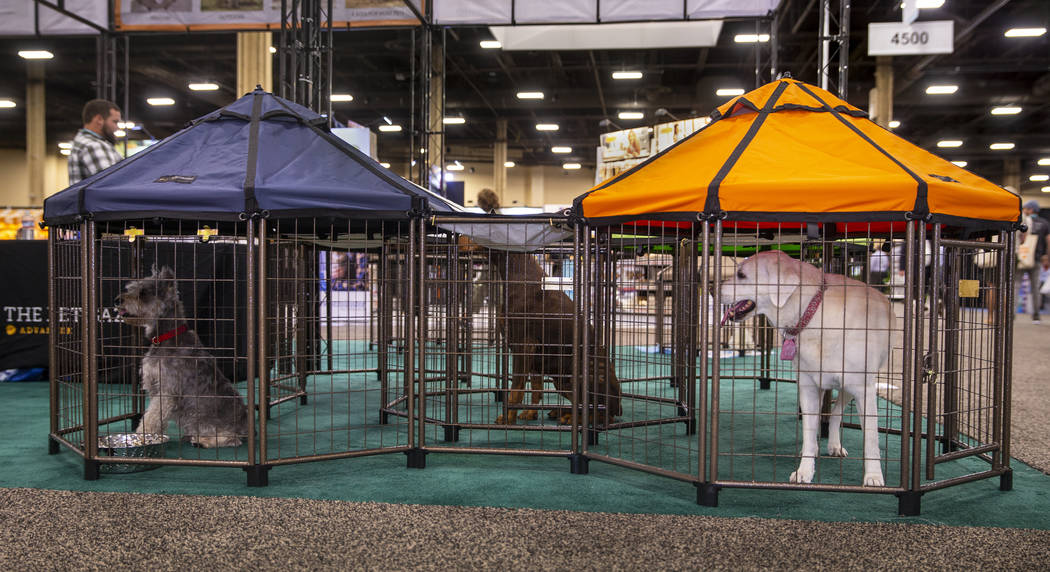 Pet Gazebos are some of the new items at the SuperZoo pet products show in the Mandalay Bay Con ...