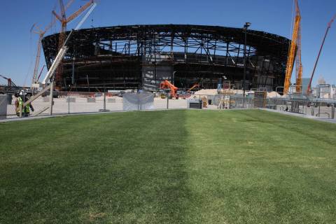 Several types of grass are seen outside the Raiders Stadium on Friday, Aug. 16, 2019 as the sta ...