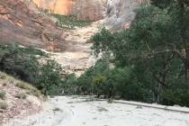 Weeping Rock area post rockfall. (National Park Service)