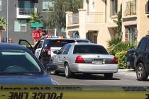 Las Vegas police investigate a barricade situation near South Grand Canyon Drive and West Tropi ...