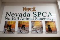 The Nevada Society for the Prevention of Cruelty of Animals in Las Vegas, Monday, April 15, 201 ...