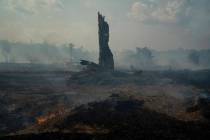 Land smolders during a forest fire in Altamira in Brazil's Amazon, Monday, Aug. 26, 2019. The f ...