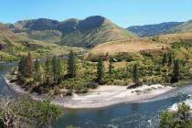 This undated photo provided by Loren Davis in August 2019 shows an overview of the Cooper's Fer ...