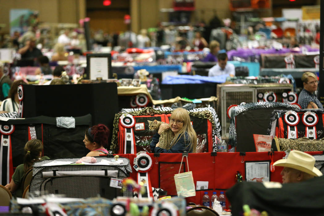People attend The International Cat Association's (TICA) 40th annual show at the Rio Convention ...