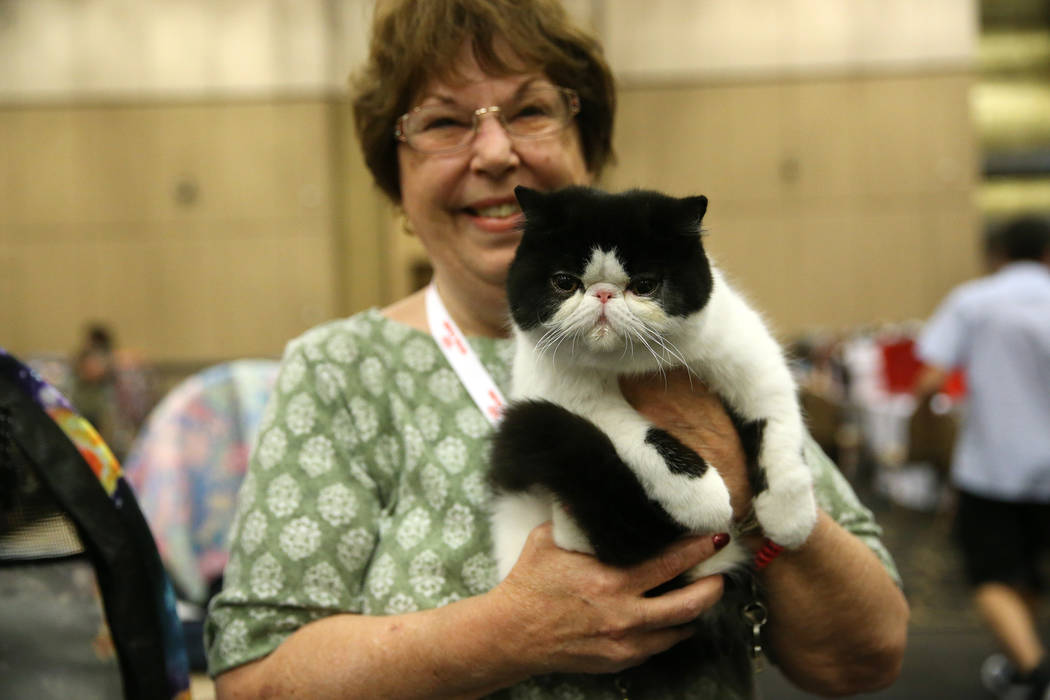 Marcia Baumann of Orange County, Calif. shows her cat competing during The International C ...