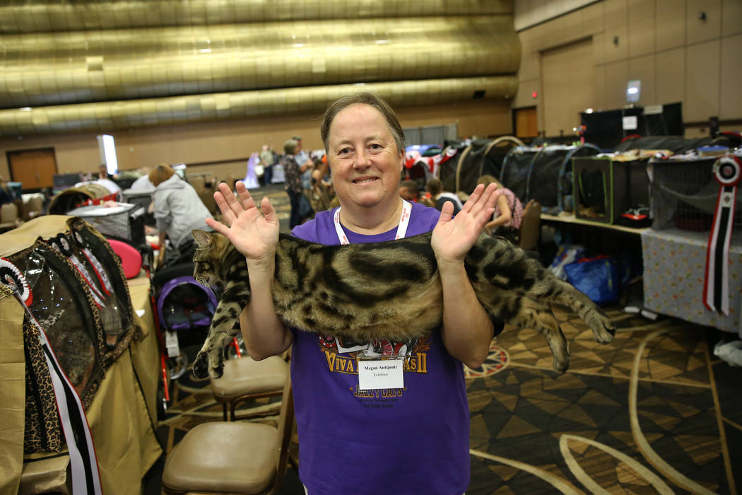 Megan Antijunti holds her cat as she walked to a showing during The International Cat Associati ...