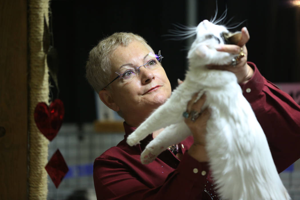 Judge Aline Noel-Garel looks at a cat during The International Cat Association’s (TICA) ...