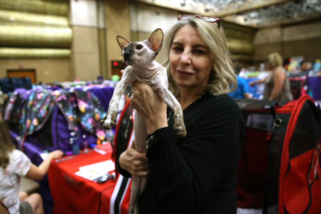 Susanna Shon of Las Vegas shows her cat during The International Cat Association’s ...