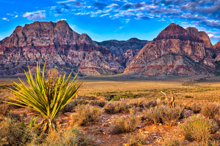 Sunrise at Red Rock Canyon in Nevada.