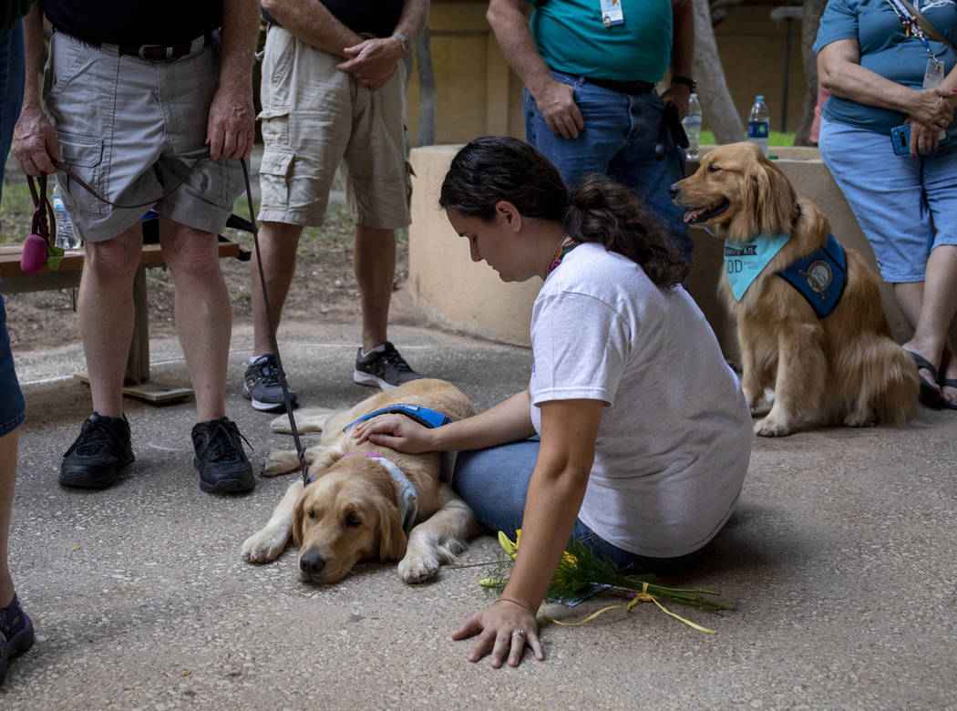 Katelyn Cooper pets a comfort dog during a vigil, Sunday, Sept. 1, 2019, at the University of T ...
