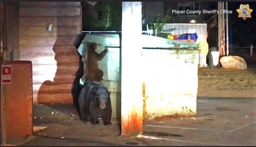 This Tuesday, Aug. 27, 2019 photo from video, first in a sequence, released by the Placer Count ...