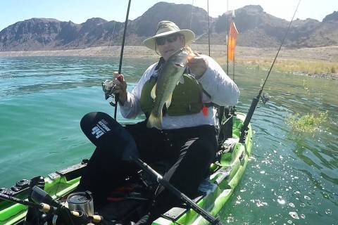 Persistence and a drop shot both paid off when this 2-pound largemouth bass left its hiding pla ...