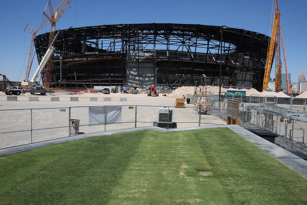 Several types of grasses are seen outside the Raiders Stadium on Friday, Aug. 16, 2019 as the s ...