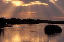 FILE - This June 24, 2004, file photo, shows Minidoka National Wildlife Refuge near American Fa ...